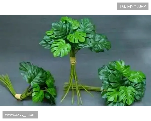 乒乓球技术与战术解析：从基础技巧到高水平对抗的全面指南