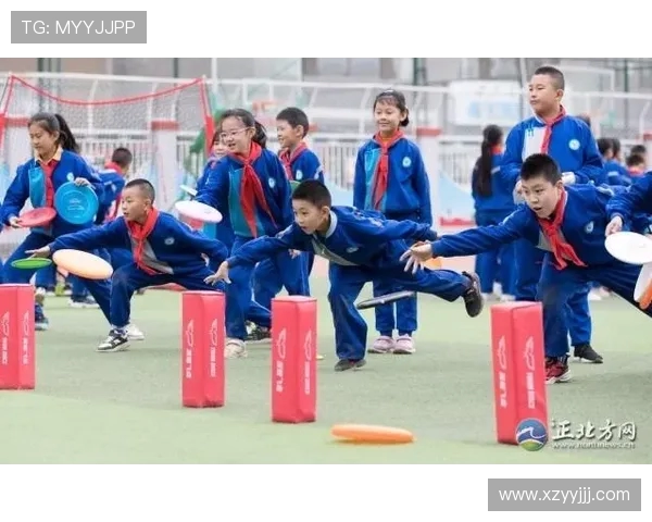 刘芳独家分享飞盘技巧与心得体会助你轻松掌握这项运动的魅力与乐趣
