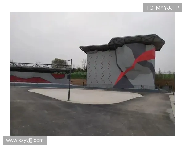 南京攀岩队在世界滑板锦标赛中的技术表现分析与点评