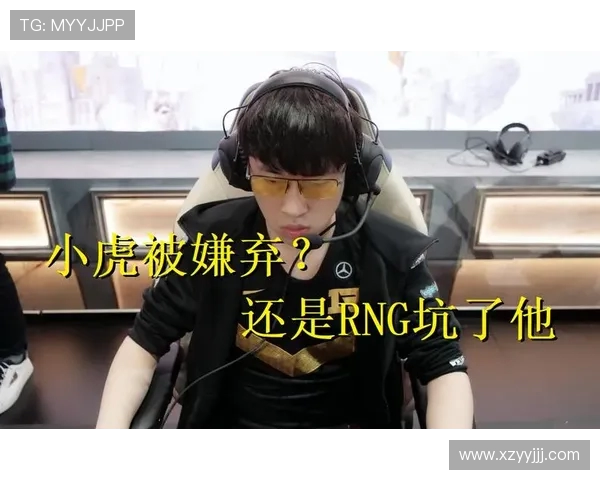 最新CSGO个人能力排行榜揭晓RNG战队选手表现抢眼位居第一