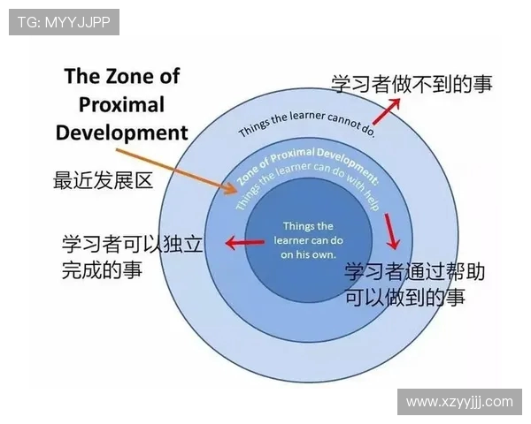 乒乓球男子与女子竞技差异探讨及其对运动发展的影响分析